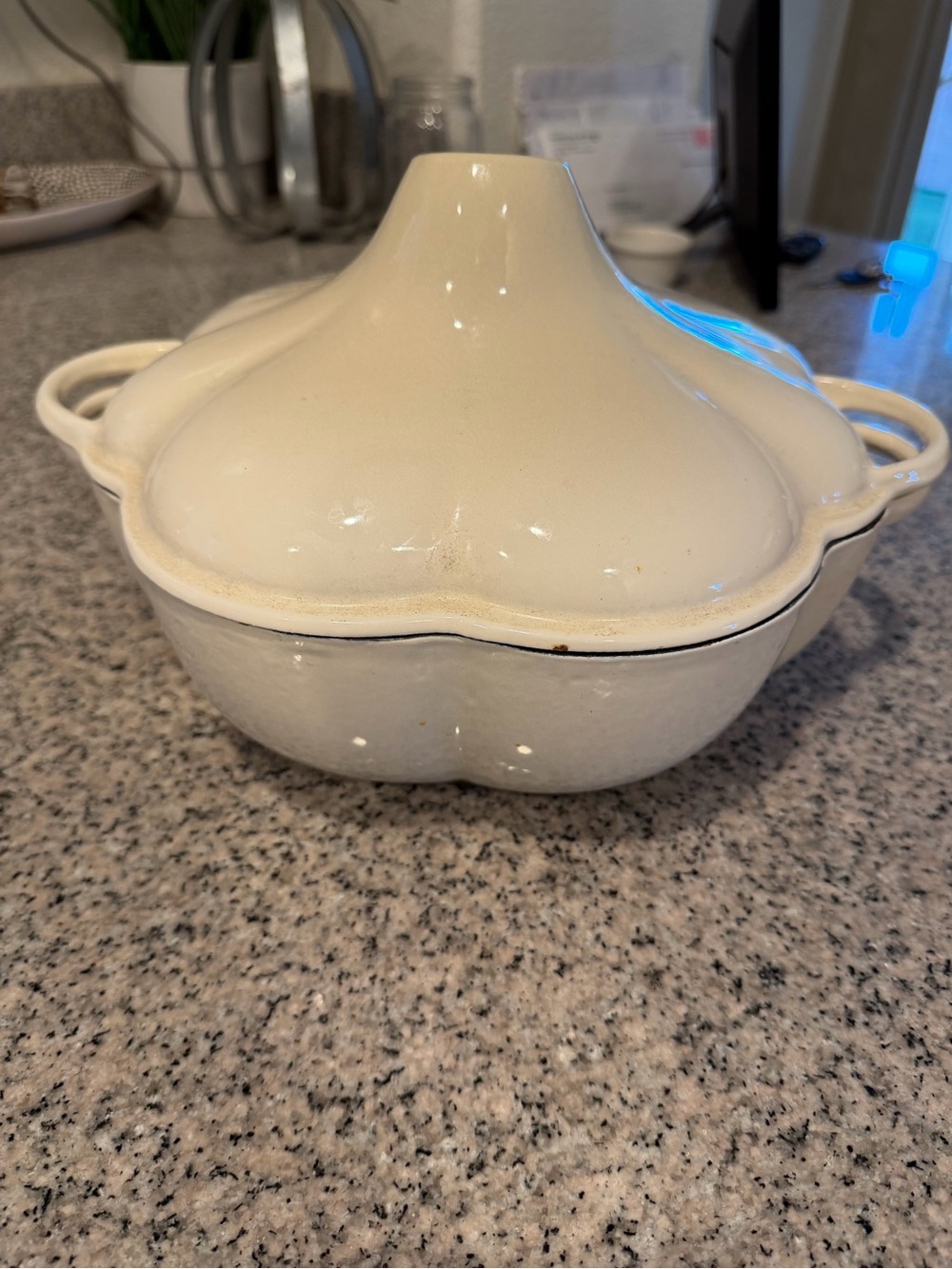 Real techniques, cast-iron, and ceramic white pumpkin Dutch oven